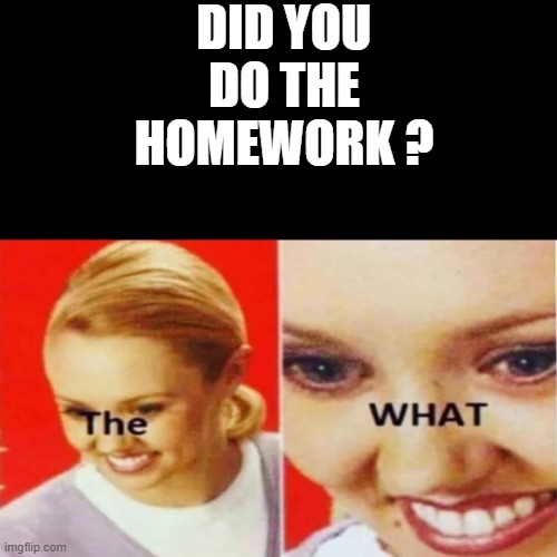 The What | DID YOU DO THE HOMEWORK ? | image tagged in the what | made w/ Imgflip meme maker