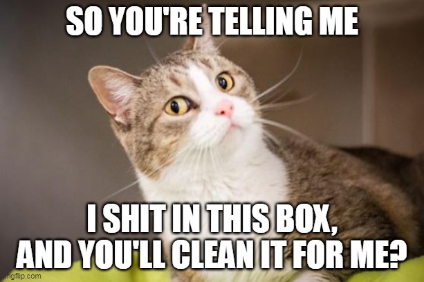 SO YOU'RE TELLING ME; I SHIT IN THIS BOX,
AND YOU'LL CLEAN IT FOR ME? | image tagged in AdviceAnimals | made w/ Imgflip meme maker