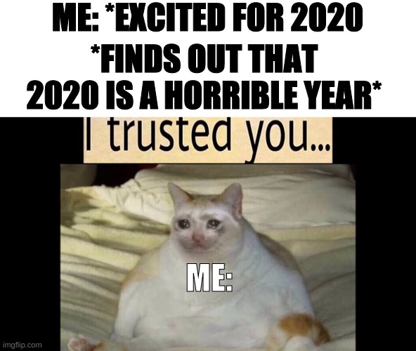 ME: *EXCITED FOR 2020; *FINDS OUT THAT 2020 IS A HORRIBLE YEAR*; ME: | image tagged in cats,sad cat,funny,2020 | made w/ Imgflip meme maker