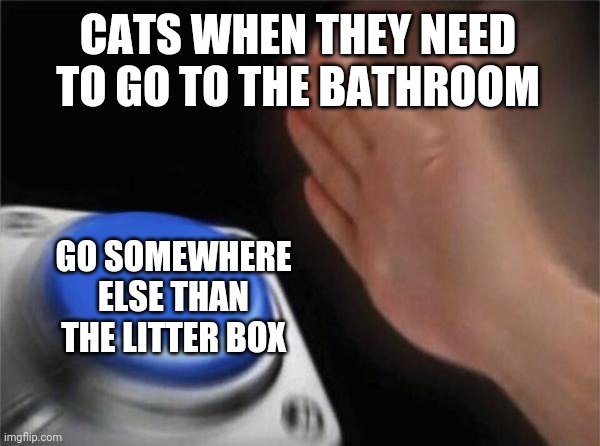 Cats going number 2 | CATS WHEN THEY NEED TO GO TO THE BATHROOM; GO SOMEWHERE ELSE THAN THE LITTER BOX | image tagged in memes,blank nut button | made w/ Imgflip meme maker