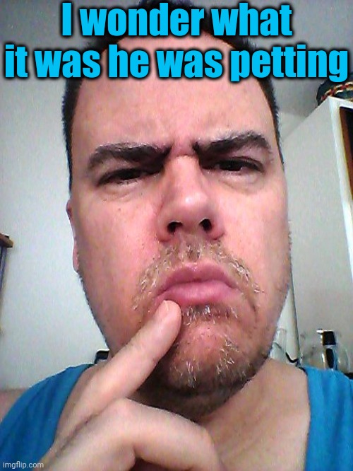 puzzled | I wonder what it was he was petting | image tagged in puzzled | made w/ Imgflip meme maker