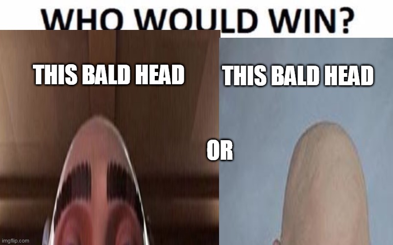 THIS BALD HEAD; THIS BALD HEAD; OR | image tagged in bald | made w/ Imgflip meme maker
