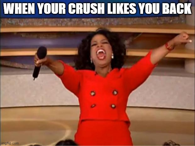 Oprah You Get A | WHEN YOUR CRUSH LIKES YOU BACK | image tagged in memes,oprah you get a | made w/ Imgflip meme maker