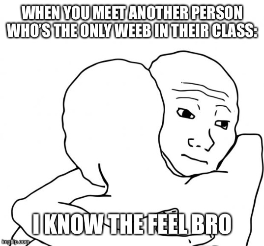 I Know That Feel Bro Meme | WHEN YOU MEET ANOTHER PERSON WHO’S THE ONLY WEEB IN THEIR CLASS:; I KNOW THE FEEL BRO | image tagged in memes,i know that feel bro,weeb,school | made w/ Imgflip meme maker