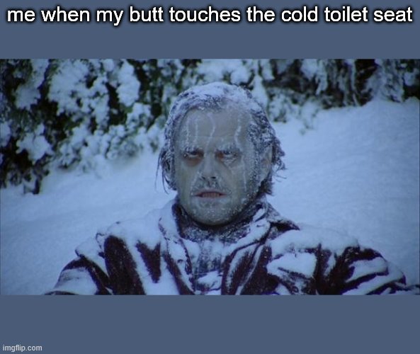 Cold | me when my butt touches the cold toilet seat | image tagged in cold | made w/ Imgflip meme maker