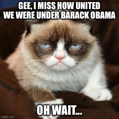 Don’t worry Sleepy Joe is going to unite us just fine. Once he finds the toilet... | GEE, I MISS HOW UNITED WE WERE UNDER BARACK OBAMA; OH WAIT... | image tagged in sarcasm,joe biden,barack obama,democrats,republicans,united states | made w/ Imgflip meme maker