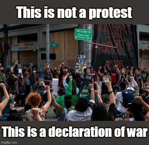 Time we send in the marines. | This is not a protest; This is a declaration of war | image tagged in antifa,terrorist,declaration of war,seattle,autonomous zone,usa marines | made w/ Imgflip meme maker