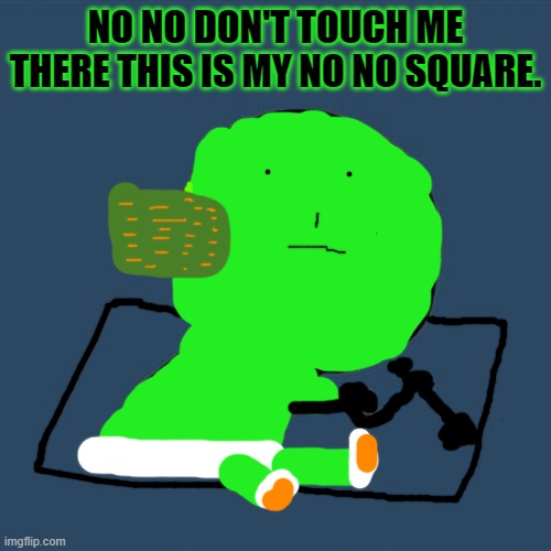 The no no square meme!!!!!!!!!!!!!!!!!!!!!!!!!!!!!!!!!!!!! | NO NO DON'T TOUCH ME THERE THIS IS MY NO NO SQUARE. | image tagged in memes,y u no | made w/ Imgflip meme maker