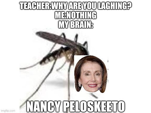 TEACHER:WHY ARE YOU LAGHING?
ME:NOTHING
MY BRAIN:; NANCY PELOSKEETO | image tagged in memes | made w/ Imgflip meme maker