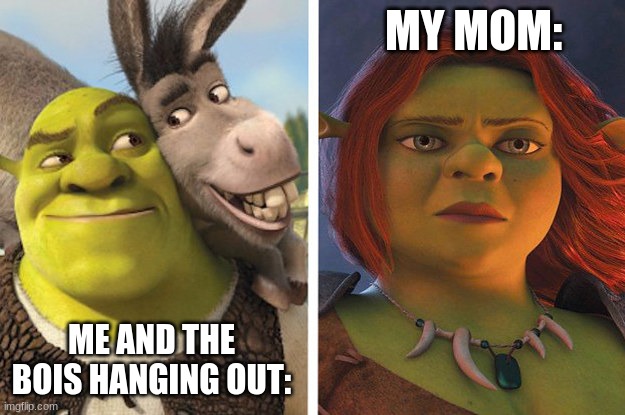 hehehe | MY MOM:; ME AND THE BOIS HANGING OUT: | image tagged in oh wow are you actually reading these tags,shrek | made w/ Imgflip meme maker