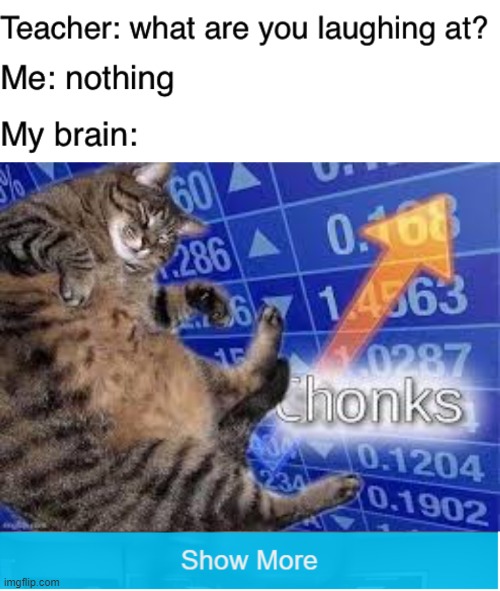 Chonks | image tagged in teacher what are you laughing at,dank memes,fun,memes,really funny,lol | made w/ Imgflip meme maker