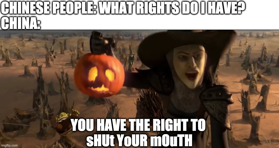 CHINESE PEOPLE: WHAT RIGHTS DO I HAVE?
CHINA:; sHUt YoUR mOuTH; YOU HAVE THE RIGHT TO | image tagged in china,human rights | made w/ Imgflip meme maker