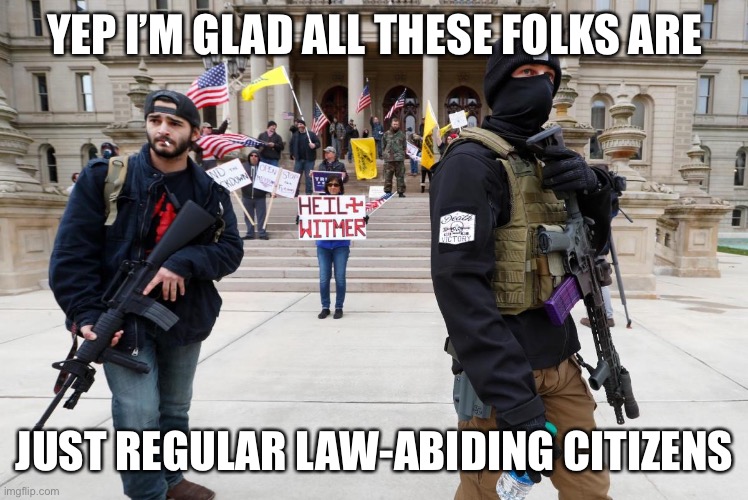 Heil Whitmer! | YEP I’M GLAD ALL THESE FOLKS ARE; JUST REGULAR LAW-ABIDING CITIZENS | image tagged in heil whitmer,michigan,gun rights,protest,protesters,covid-19 | made w/ Imgflip meme maker