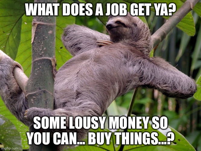 Lazy Sloth | WHAT DOES A JOB GET YA? SOME LOUSY MONEY SO YOU CAN... BUY THINGS...? | image tagged in lazy sloth | made w/ Imgflip meme maker