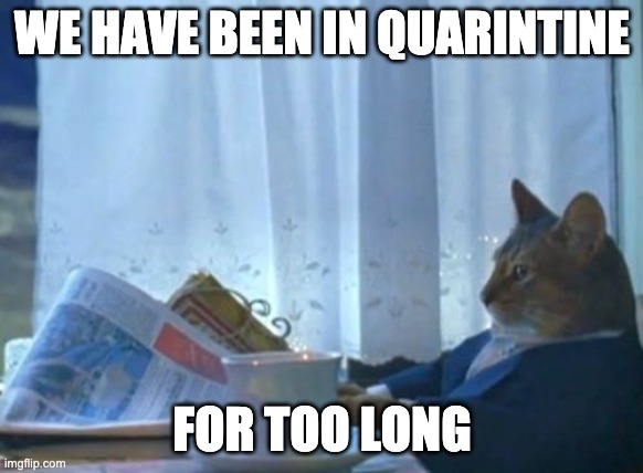 I Should Buy A Boat Cat | WE HAVE BEEN IN QUARINTINE; FOR TOO LONG | image tagged in memes,i should buy a boat cat | made w/ Imgflip meme maker