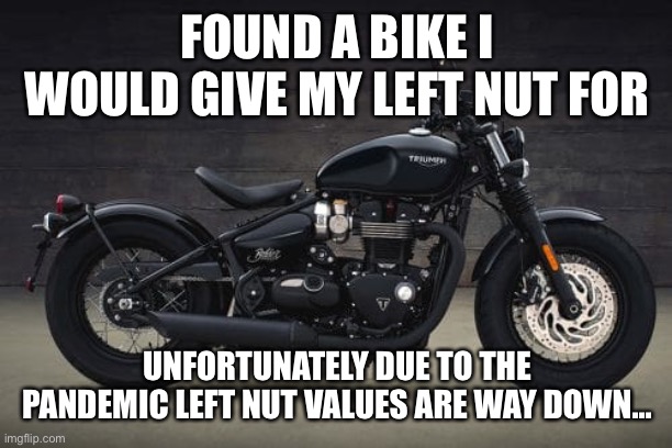 Triumph | FOUND A BIKE I WOULD GIVE MY LEFT NUT FOR; UNFORTUNATELY DUE TO THE PANDEMIC LEFT NUT VALUES ARE WAY DOWN... | image tagged in motorcycle | made w/ Imgflip meme maker