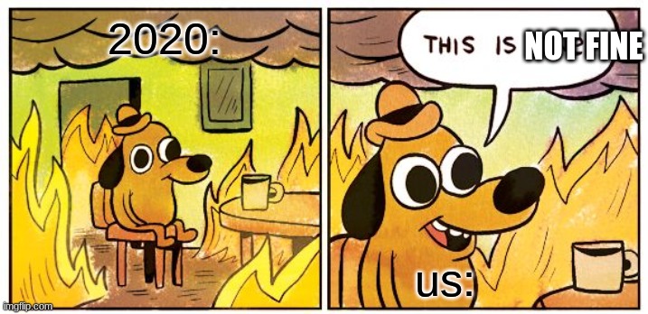 This Is Fine Meme | NOT FINE; 2020:; us: | image tagged in memes,this is fine | made w/ Imgflip meme maker