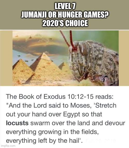 LEVEL 7 
JUMANJI OR HUNGER GAMES? 
2020’S CHOICE | image tagged in 2020 | made w/ Imgflip meme maker