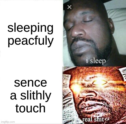 Sleeping Shaq Meme | sleeping peacfuly; sence a slithly touch | image tagged in memes,sleeping shaq | made w/ Imgflip meme maker
