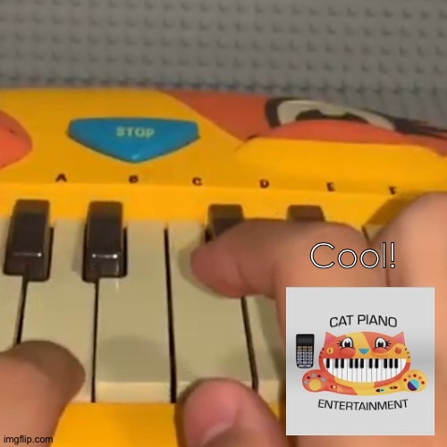 Cat piano entertainment react unikitty but cat piano | Cool! | image tagged in cat,piano,unikitty,reactions | made w/ Imgflip meme maker