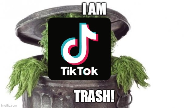 tik tok the trash man | I AM; TRASH! | image tagged in oscar trashcan sesame street,memes,funny,tik tok | made w/ Imgflip meme maker
