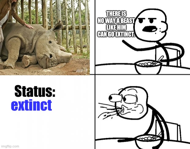 White Rhinos | THERE IS NO WAY A BEAST LIKE HIM CAN GO EXTINCT. Status:; extinct | image tagged in cereal guy | made w/ Imgflip meme maker