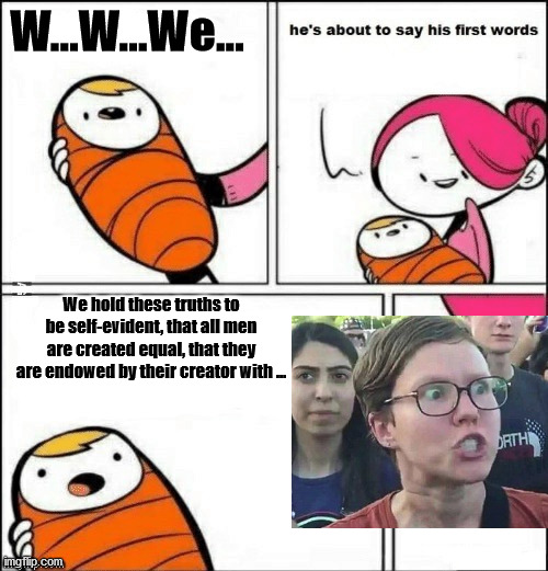 When you have a problem with offensive words such as "equal" and "rights"... | W...W...We... We hold these truths to be self-evident, that all men are created equal, that they are endowed by their creator with ... | image tagged in baby first words | made w/ Imgflip meme maker