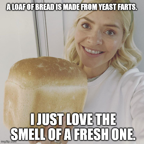 Home made is Best. | A LOAF OF BREAD IS MADE FROM YEAST FARTS. I JUST LOVE THE SMELL OF A FRESH ONE. | image tagged in love,smell,bread,farts | made w/ Imgflip meme maker