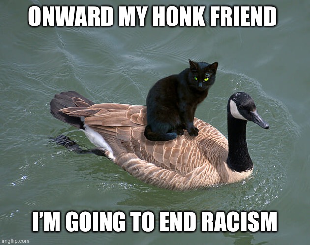 Coming Through! | ONWARD MY HONK FRIEND; I’M GOING TO END RACISM | image tagged in memes,no racism | made w/ Imgflip meme maker