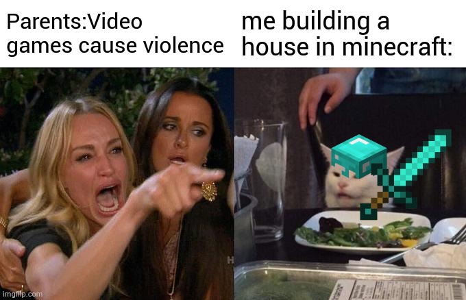 "Video games cause violence" | Parents:Video games cause violence; me building a house in minecraft: | image tagged in memes,woman yelling at cat | made w/ Imgflip meme maker