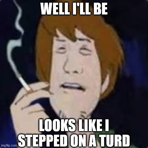 WELL I'LL BE; LOOKS LIKE I STEPPED ON A TURD | image tagged in well shit,the most interesting towel in the world | made w/ Imgflip meme maker