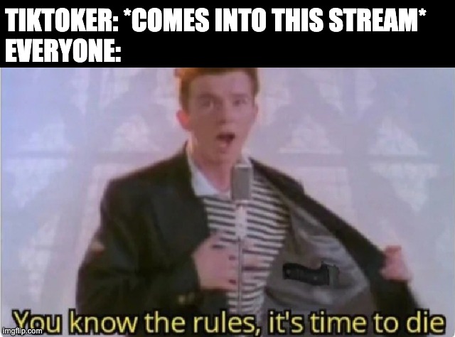 A lot of Tiktokers just come here to spy | TIKTOKER: *COMES INTO THIS STREAM*
EVERYONE: | image tagged in you know the rules | made w/ Imgflip meme maker