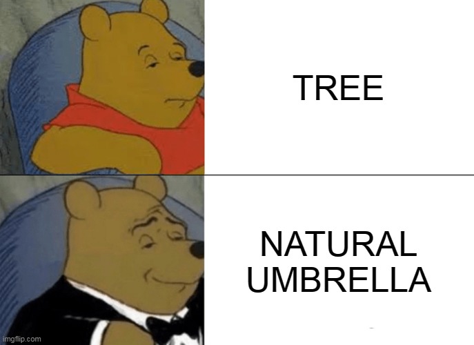 Tuxedo Winnie The Pooh Meme | TREE; NATURAL UMBRELLA | image tagged in memes,tuxedo winnie the pooh | made w/ Imgflip meme maker