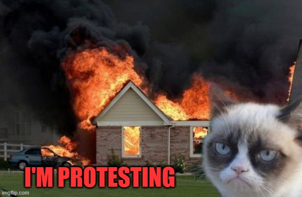 Burn Kitty Meme | I'M PROTESTING | image tagged in memes,burn kitty,grumpy cat | made w/ Imgflip meme maker