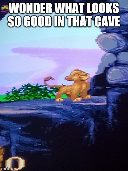 WONDER WHAT LOOKS SO GOOD IN THAT CAVE | made w/ Imgflip meme maker