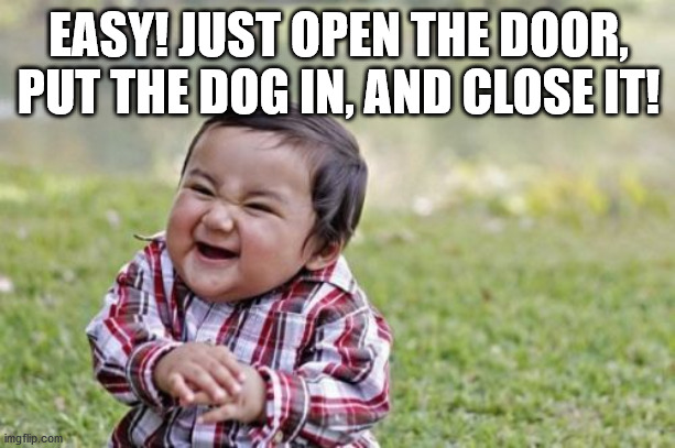 Evil Toddler Meme | EASY! JUST OPEN THE DOOR, PUT THE DOG IN, AND CLOSE IT! | image tagged in memes,evil toddler | made w/ Imgflip meme maker