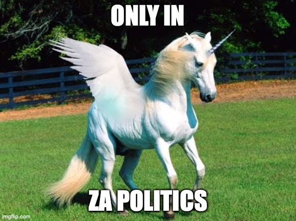 ZA Politics | ONLY IN; ZA POLITICS | image tagged in unicorn | made w/ Imgflip meme maker