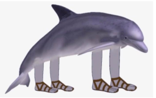 Richard the dolphin Blank Meme Template