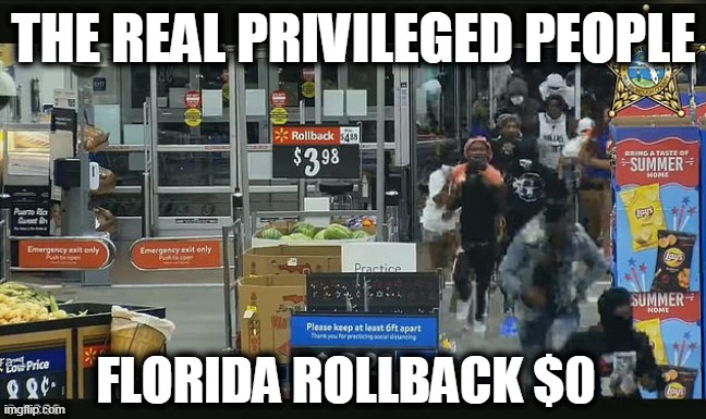 Entitled Shopping? $100,000 Stolen During Protests | THE REAL PRIVILEGED PEOPLE; FLORIDA ROLLBACK $0 | image tagged in politics,political meme,democrats,liberal protesters,law and order,democratic socialism | made w/ Imgflip meme maker