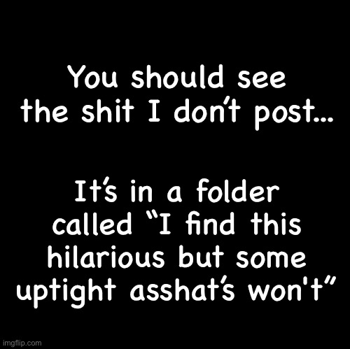 Posts | You should see the shit I don’t post... It’s in a folder called “I find this hilarious but some uptight asshat’s won't” | image tagged in blank | made w/ Imgflip meme maker