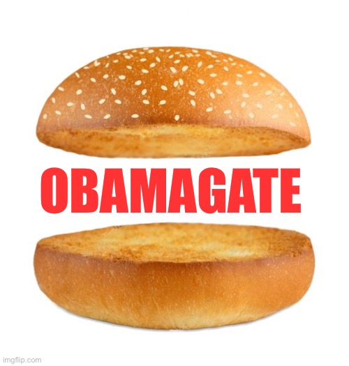 Nothing Burger | OBAMAGATE | image tagged in nothing burger | made w/ Imgflip meme maker