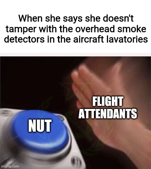 When she says she doesn't tamper with the overhead smoke detectors in the aircraft lavatories; FLIGHT ATTENDANTS; NUT | image tagged in memes,blank nut button | made w/ Imgflip meme maker