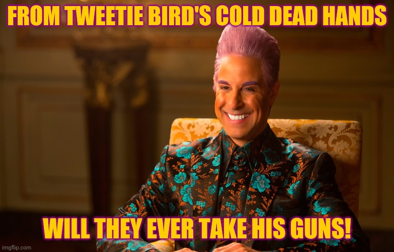 Caesar Flickerman (Stanley Tucci) | FROM TWEETIE BIRD'S COLD DEAD HANDS WILL THEY EVER TAKE HIS GUNS! | image tagged in caesar flickerman stanley tucci | made w/ Imgflip meme maker