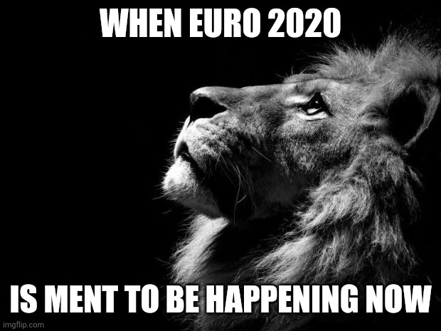 Hit you hard | WHEN EURO 2020; IS MENT TO BE HAPPENING NOW | image tagged in sad lion,memes,euro 2020,football,soccer | made w/ Imgflip meme maker