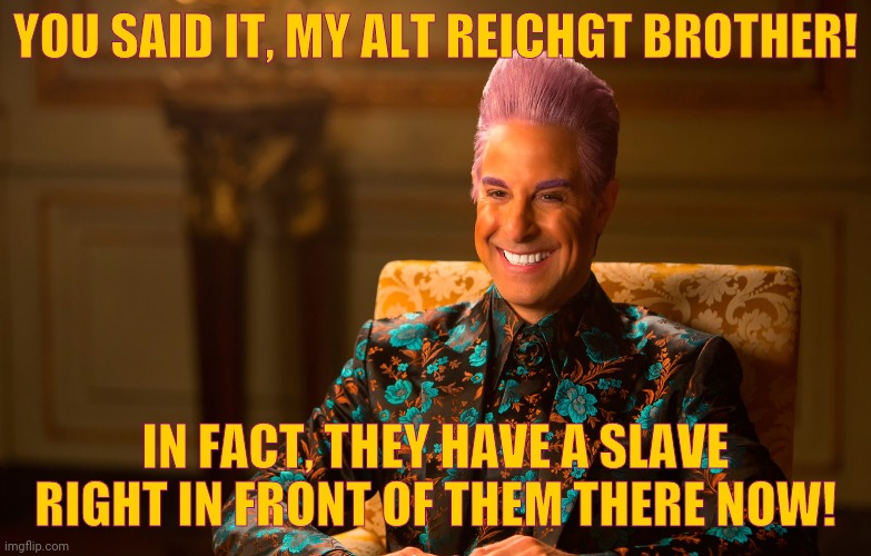 Caesar Flickerman (Stanley Tucci) | YOU SAID IT, MY ALT REICHGT BROTHER! IN FACT, THEY HAVE A SLAVE RIGHT IN FRONT OF THEM THERE NOW! | image tagged in caesar flickerman stanley tucci | made w/ Imgflip meme maker