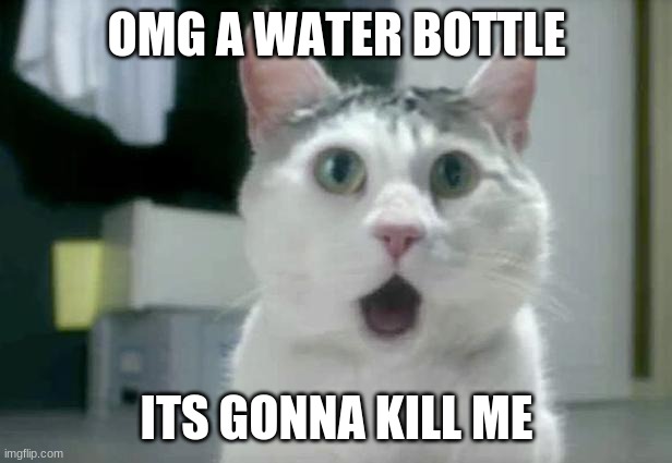 OMG Cat Meme | OMG A WATER BOTTLE ITS GONNA KILL ME | image tagged in memes,omg cat | made w/ Imgflip meme maker