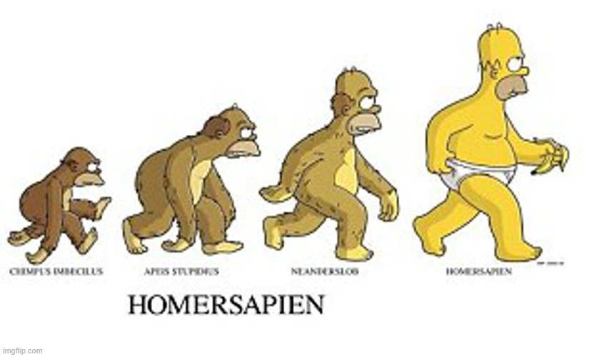 Diagram: Evolution of Monkeys into Man | image tagged in vince vance,homer simpson,homosapien,progress,man,memes | made w/ Imgflip meme maker
