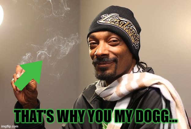 Snoop Dogg | THAT'S WHY YOU MY DOGG... | image tagged in snoop dogg | made w/ Imgflip meme maker