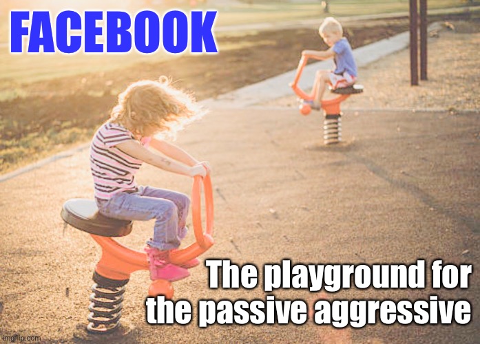 Passive aggressive | FACEBOOK; The playground for the passive aggressive | image tagged in passive aggressive,idiot,facebook | made w/ Imgflip meme maker