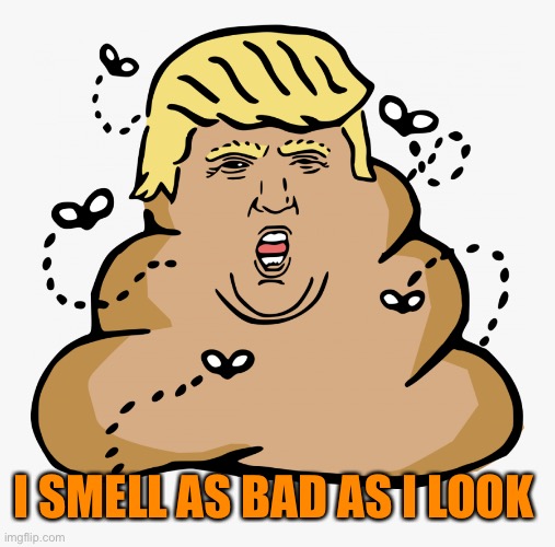 I SMELL AS BAD AS I LOOK | made w/ Imgflip meme maker